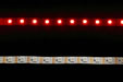 Ruban LED RGB+blanc non étanche à changement de couleurs IP68